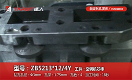 ZB5213*12/4Y-軸類加工演示-空調(diào)機芯棒